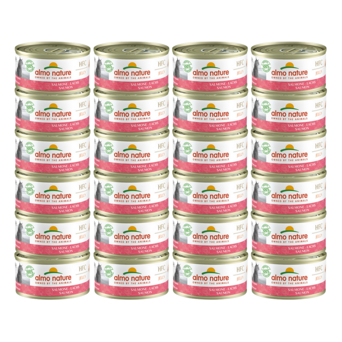 알모네이쳐 고양이주식캔 습식사료, 24개, 젤리 연어