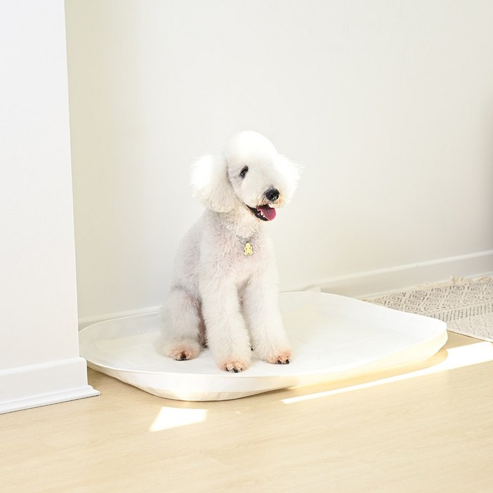 피피 강아지 스퀘어 사각 배변매트 배변판 방수 배변패드판 모서리 샘방지, 1개, 화이트