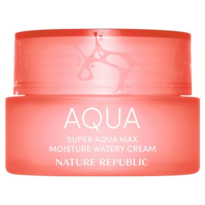 네이처리퍼블릭 슈퍼 아쿠아 맥스 모이스처 수분크림 건성용