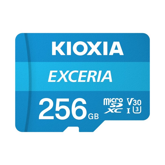 키오시아 EXCERIA 마이크로 메모리 카드 홈캠 블랙박스 CCTV SD LMEX2L256GG4