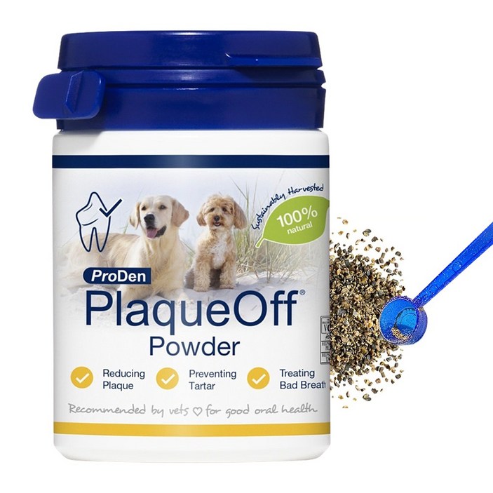 프로덴 플라그오프 영양제 40g