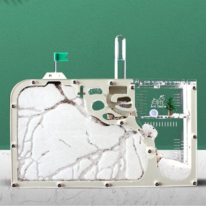 개미 관찰 키트 세트 키우기 개미집