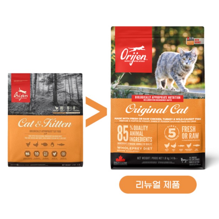 오리젠 전연령 캣 앤 키튼 건식사료, 닭, 5.4kg, 1개