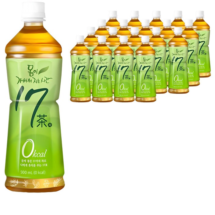 17차 몸이 가벼워지는 시간, 500ml, 500mg, 20개