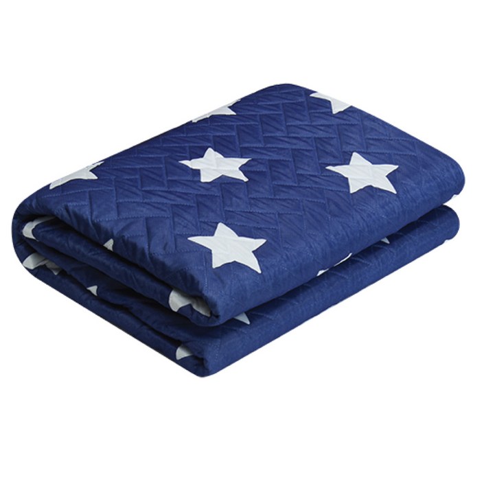 한일의료기 고급전기요 HL-202SS