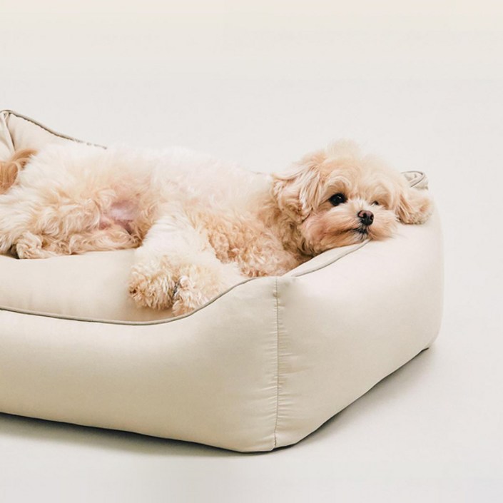 동원아르르 New 방석