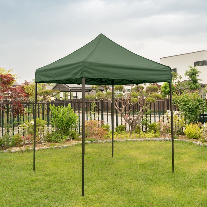 아웃네스트 야외 접이식 캐노피 본품 + 보관용 가방, 그린