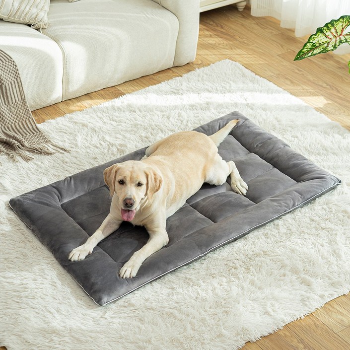 소하임 극세사 털 안 붙는 통세탁 펫 방석