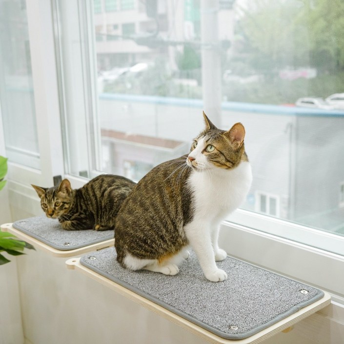캣돌 고양이 창문 창틀 선반 캣타워