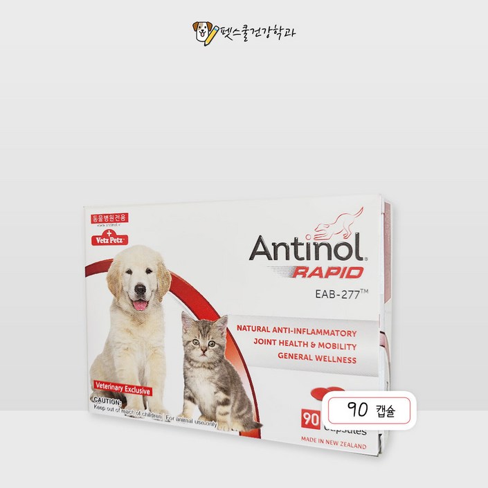 안티놀 래피드 90캡슐 강아지 고양이 관절영양제