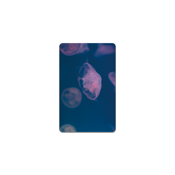 아르토르 Pink jellyfish 카드스킨