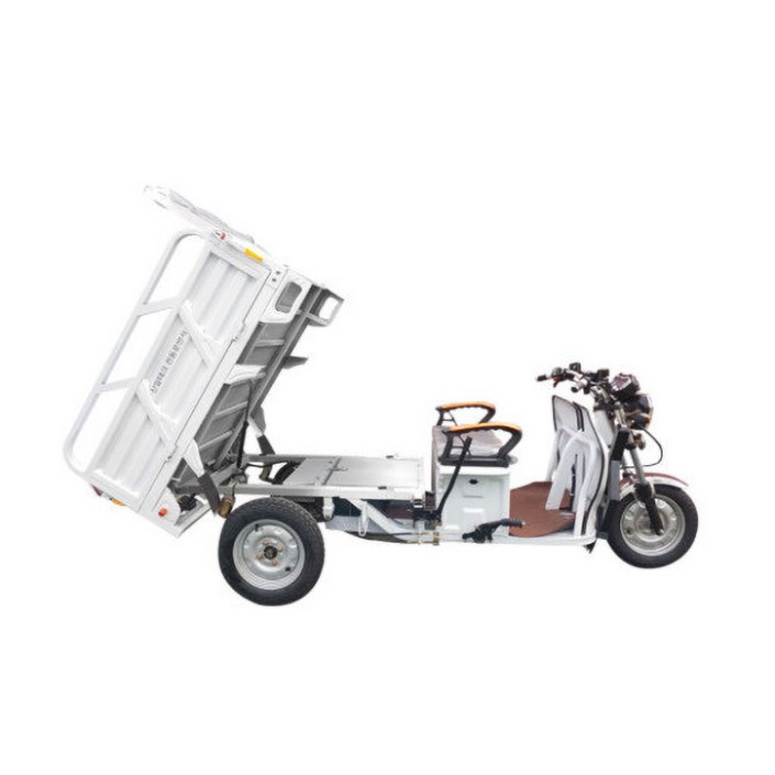 전기스쿠터 삼륜오토바이 시골 어르신 전동트럭