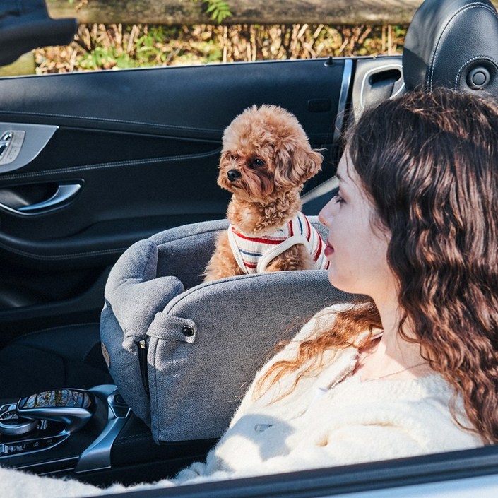 개과천선 루니 강아지 콘솔 카시트