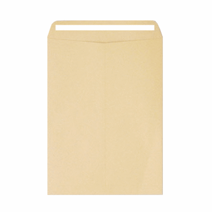 접착형 테이프 서류봉투 245 x 330 mm, A4, 100개