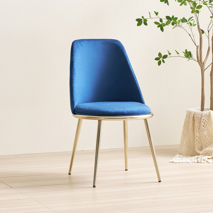 라로퍼니처 세라 골드 카페 의자 인테리어 체어 벨벳