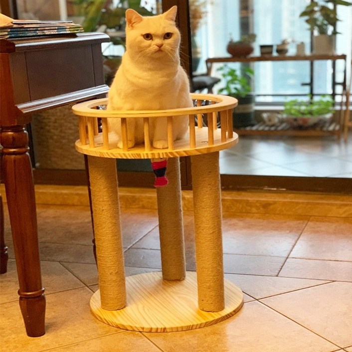 강아지식탁의자 원목 1단 캣폴 책장 소형 창틀