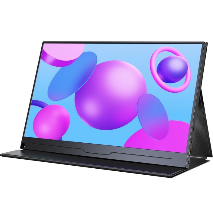에비크 39.62cm FHD 15.6inch IPS 포터블 DEX 휴대용 모니터, 39.62cm, 블랙