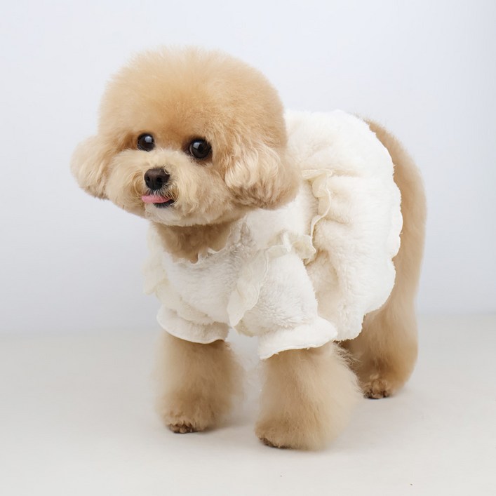 그루밍독 강아지 보아크림 올인원 원피스