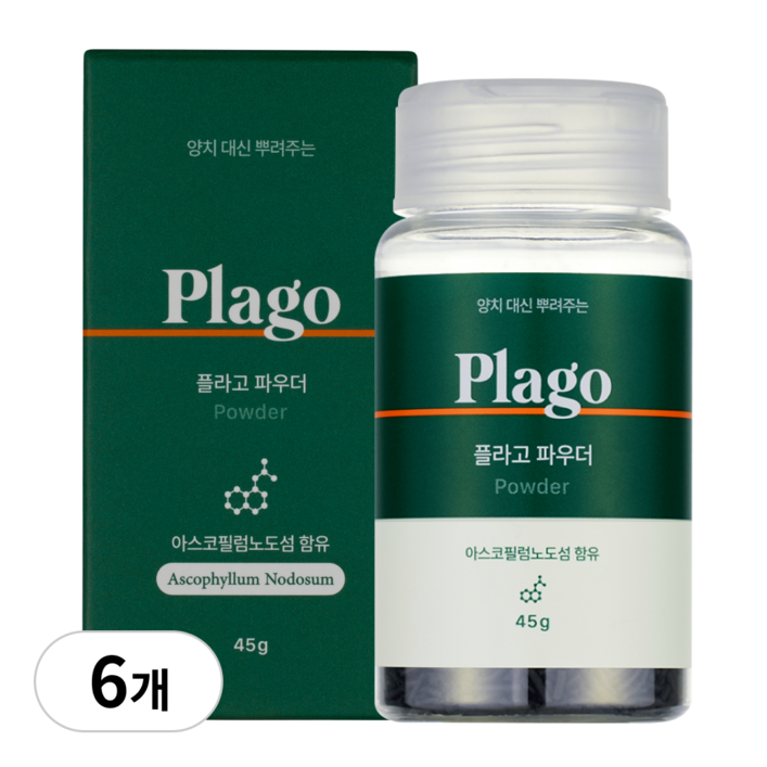플라고 덴탈 파우더 45g, 45g, 6개