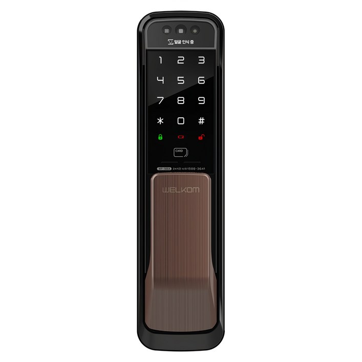 솔리티 얼굴인식 무타공 푸시풀 손잡이 도어락 WP500A 솔리티 얼굴인식 무타공 푸시풀 손잡이 도어락 WP500A