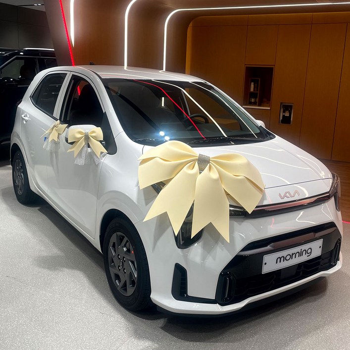 웨딩카 꾸미기 장식 대형 리본 자이언트 리본 새차 신차 선물 이벤트 세트형