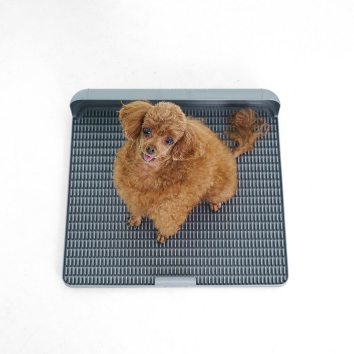 독톡 강아지 배변판 연장형 표준형 강아지 화장실 애견 화장실