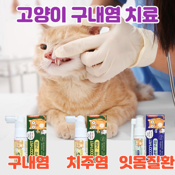 고양이 구내염약 구내염 치주염 치은염 잇몸염증 바르는 젤 구강 영양제