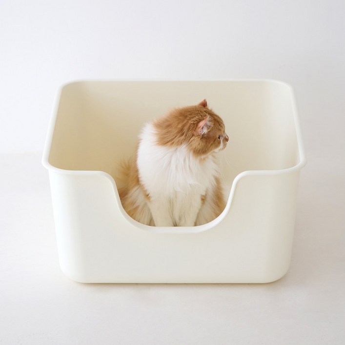 강집사 스퀘어 라이트 고양이 화장실, 베이지, 1개