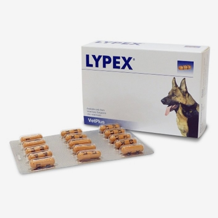 라이펙스 60캡슐 (최신품, 동물병원 정품)