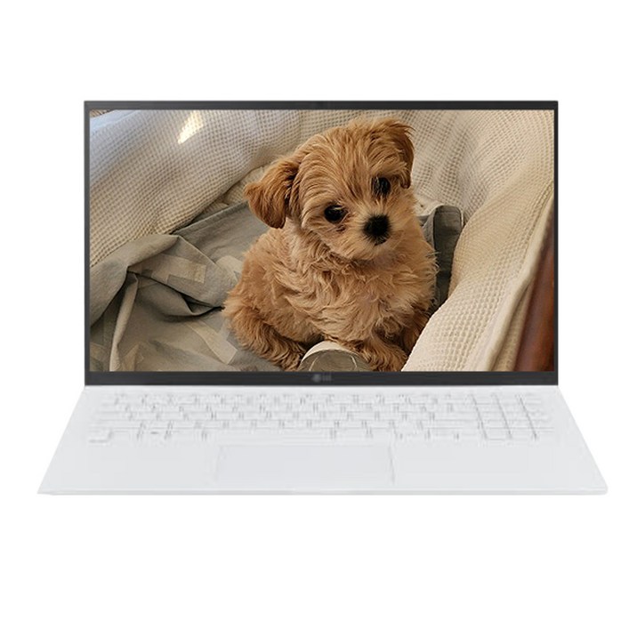 LG그램 17인치 프리미엄 노트북 초슬림 고성능, 초슬림 고성능, WIN11 Home, 16GB, 256GB, 화이트