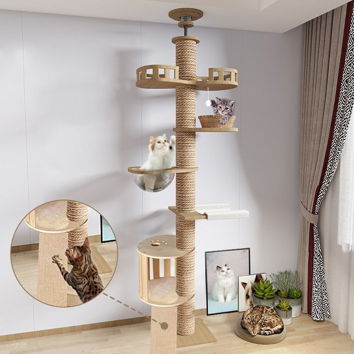 포조이 캣폴, 튼튼한 다기능 고양이 캣타워, 원목 대형 멀티 클라이밍 놀이터 링트리 등반 프레임 + 스크래쳐 + 고양이장난감
