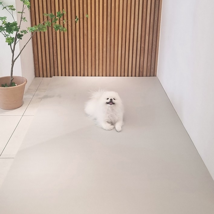 천일카페트 강아지 미끄럼방지 거실 복도 롤 덧매트 천일카페트 강아지 미끄럼방지 거실 복도 롤 덧매트