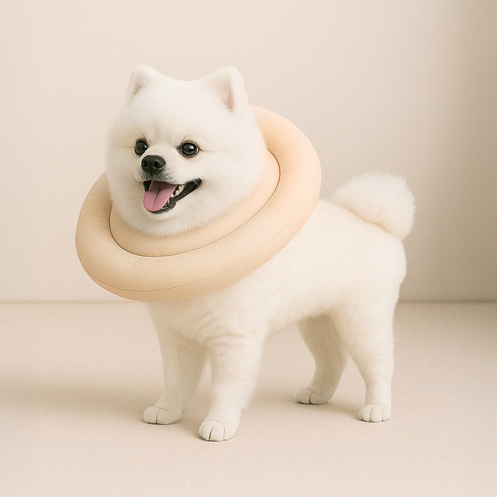 레토 강아지 고양이 넥카라 방수 초경량 대형견 소형견