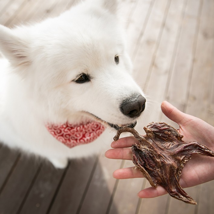 견수성찬 대형견 수제 건조 간식, 20g, 10개