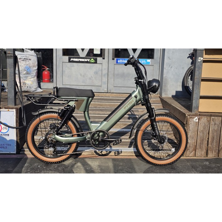 알톤 2025 전기자전거 파이톤20 48V 500W 모페드바이크 15Ah, 매트 모스, 50.8cm(20인치)