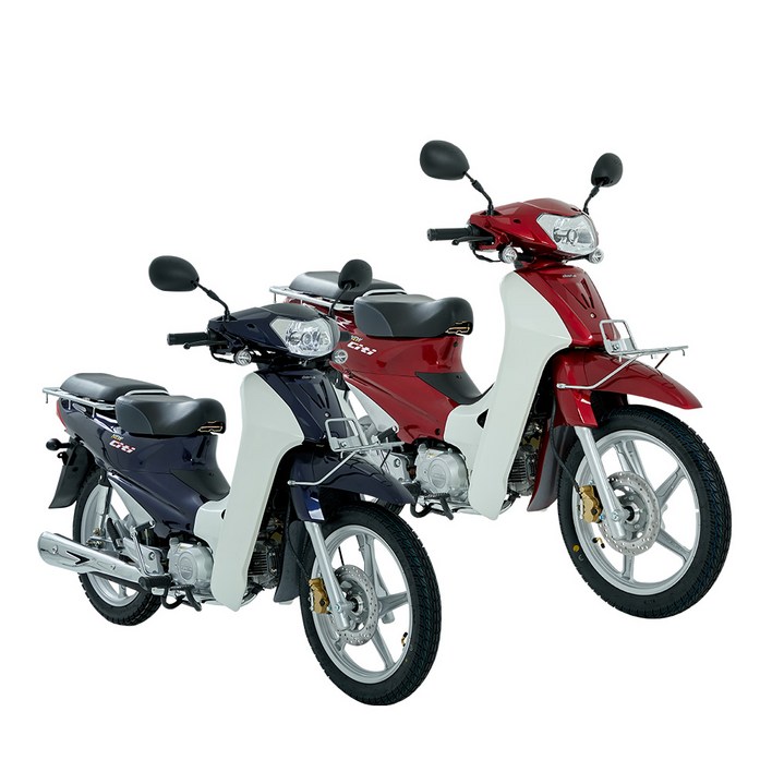 디앤에이모터스 DNA 이륜 오토바이 스쿠터 뉴시티 CA100