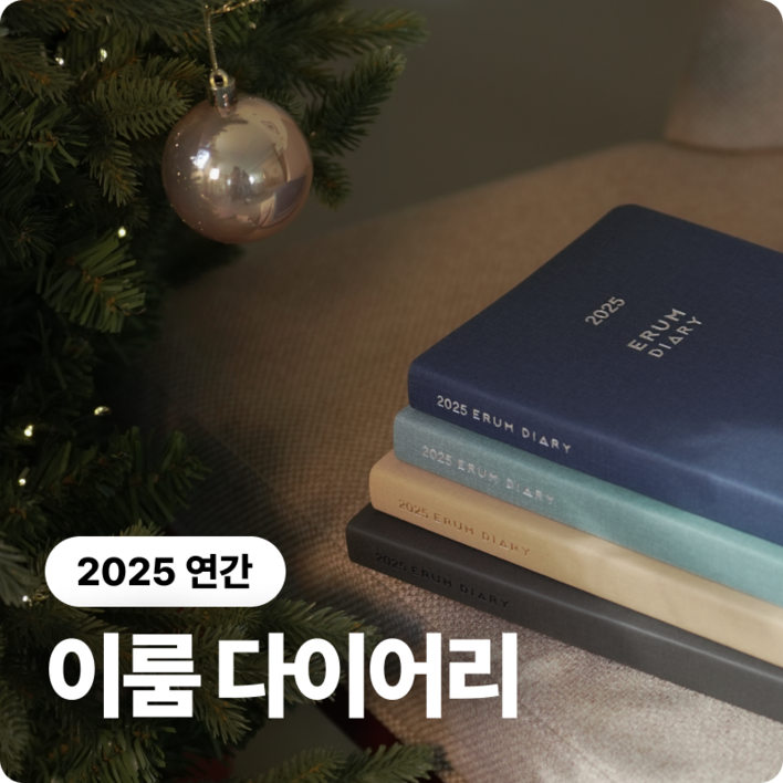 [2025 이룸 다이어리] 연간 다이어리 거인의노트 김익한 김교수세가지 플래너 스케줄러 일기 업무용 다이어리 기록, 민트 MINT, 1개