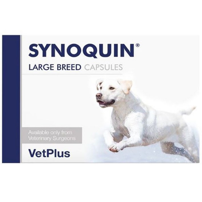 벳플러스 사이노퀸 대형견 강아지 독 라지브리드 30정 관절영양제 타블렛 3개, 30정, 관절, 3개