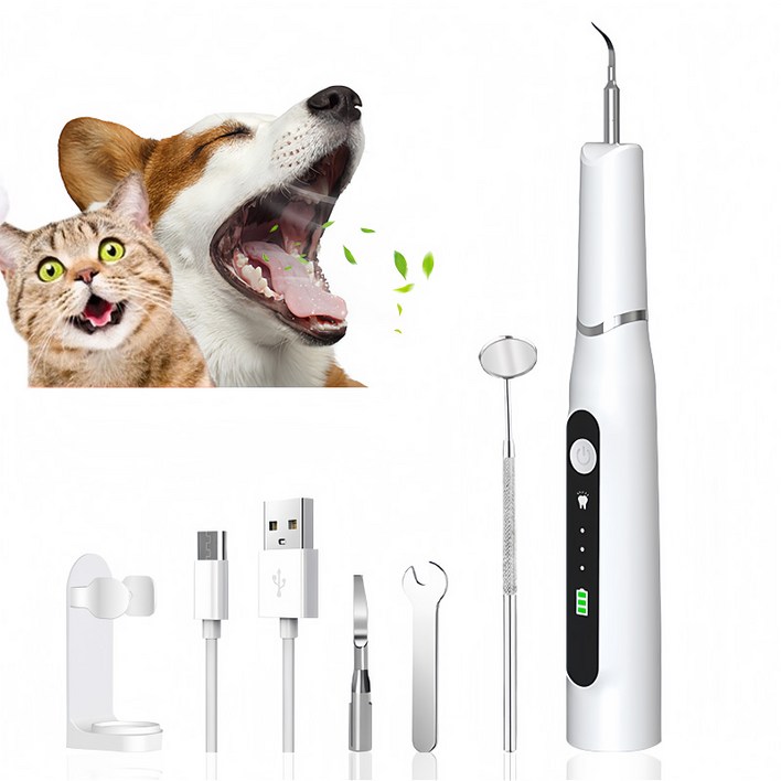 강아지치석제거기 반려동물 초음파 구강청결 치석제거