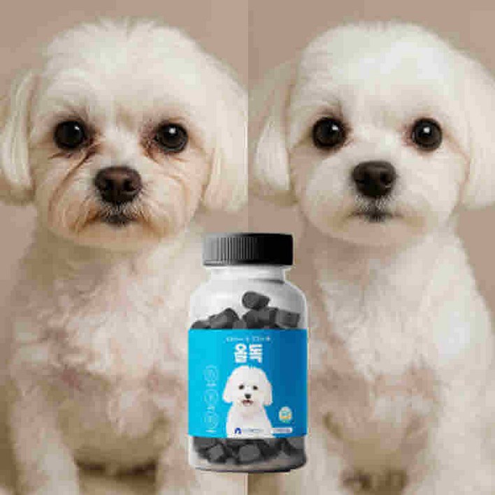 올독 강아지 눈 영양제 눈물자국 노령견 백내장 항산화 루테인