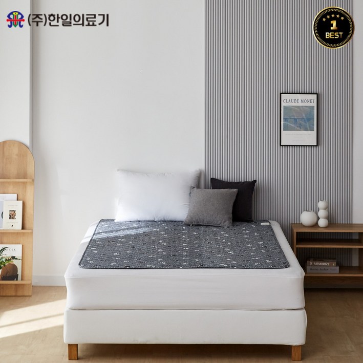 <24년형 8월 출시>한일의료기 프리미엄 고급 전기요 곰인형 싱글,더블
