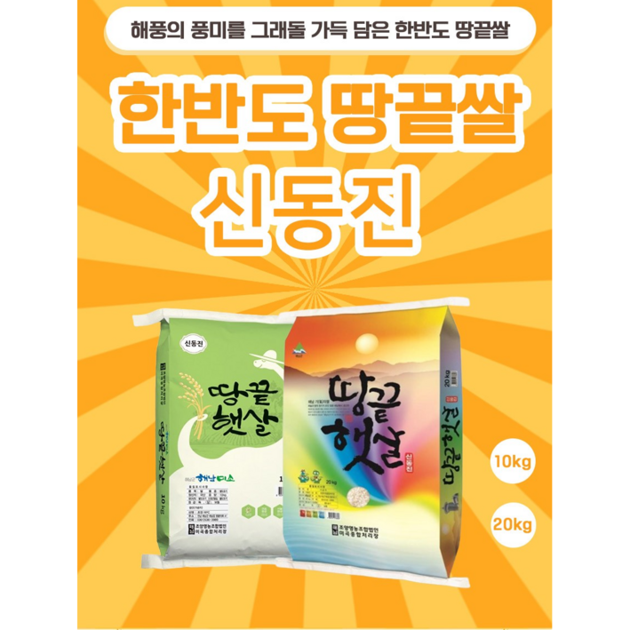 수향미 신동진 당일도정 골드퀸 백미 쌀 햅쌀, 10kg, 1개