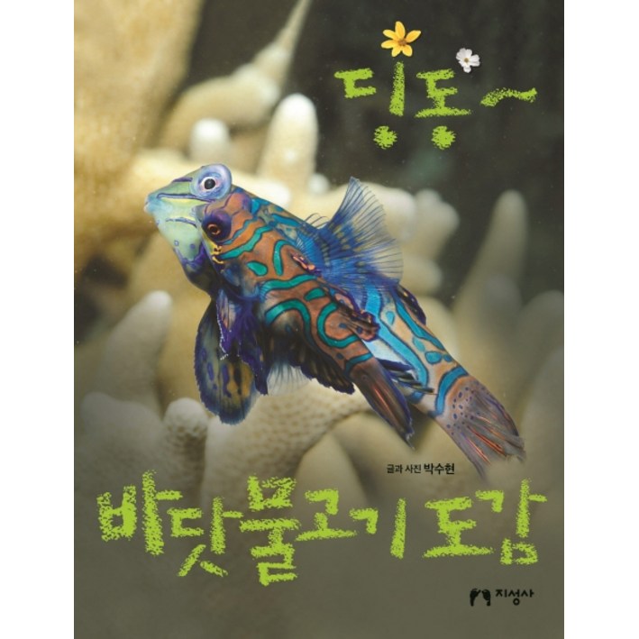 딩동 바닷물고기 도감, 지성사