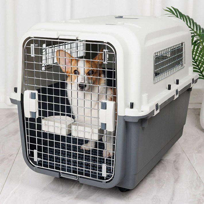 반려동물 꾸안꾸 켄넬 하드캐리어 4호