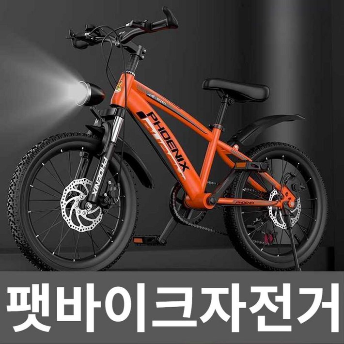 팻바이크자전거 클래식 전기 엠티비 18 20 22인치 팻바이크자전거 클래식 전기 엠티비 18 20 22인치