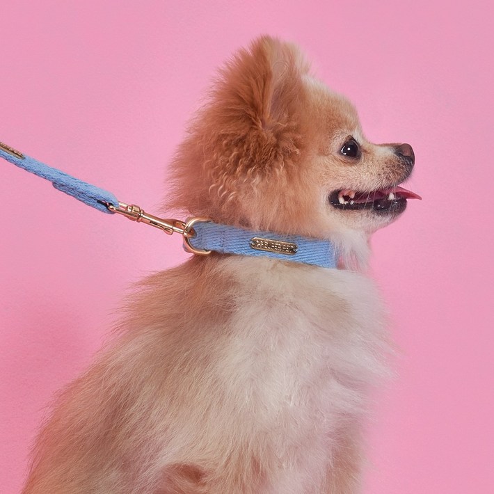 슈퍼펫 강아지 코튼 목줄+코튼멀티 리드줄 소형견 중형견 산책 순면100%