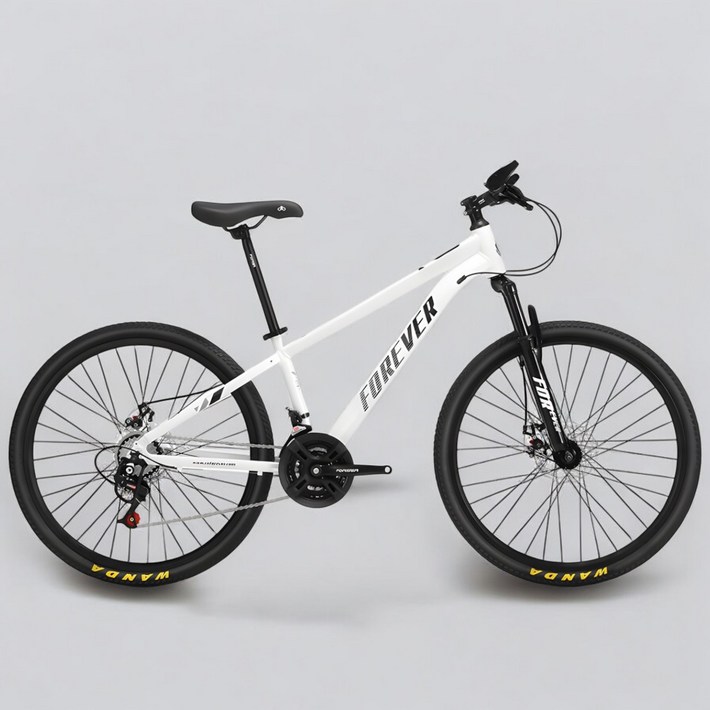 스피드라이즈드 입문용 MTB 자전거 21단