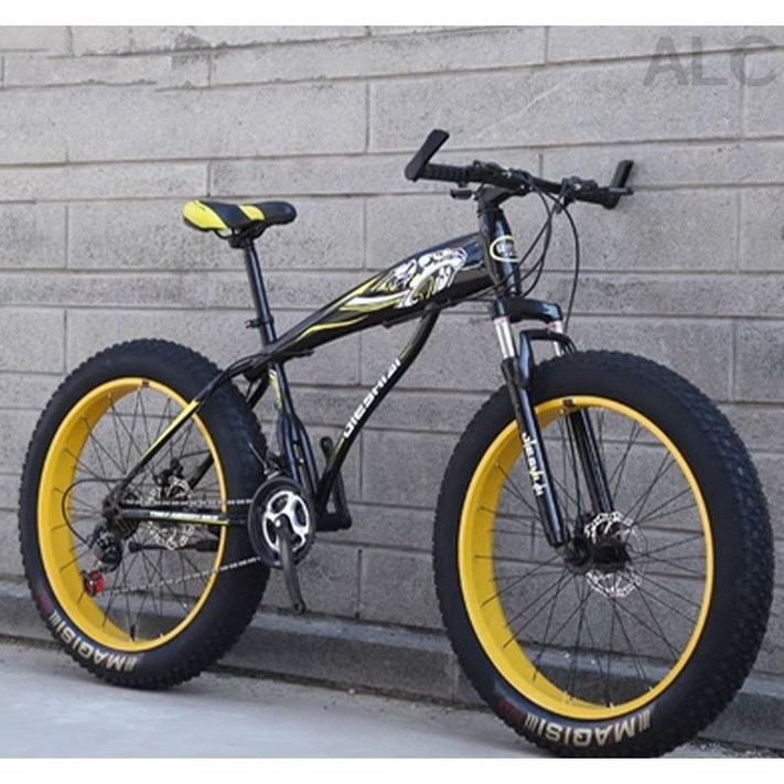 펫바이크 4.0 광폭타이어 자전거 MTB 입문용 팻바이크