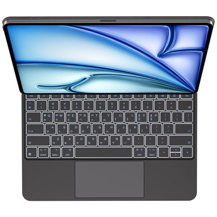 룩씨 아이패드 무선 블루투스 마그네틱 매직 키보드, 블랙, 1개