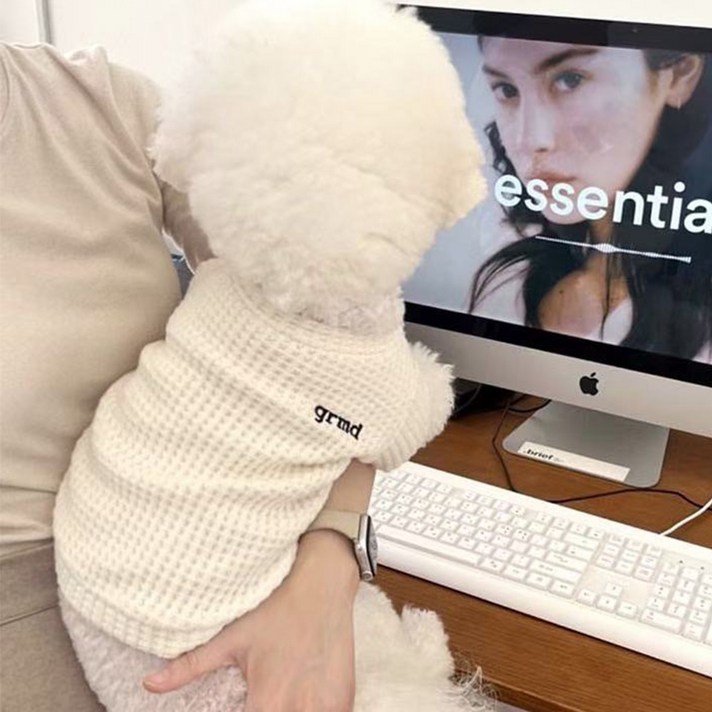 강아지 웨이비데이즈 리네 레터링 와플 티셔츠